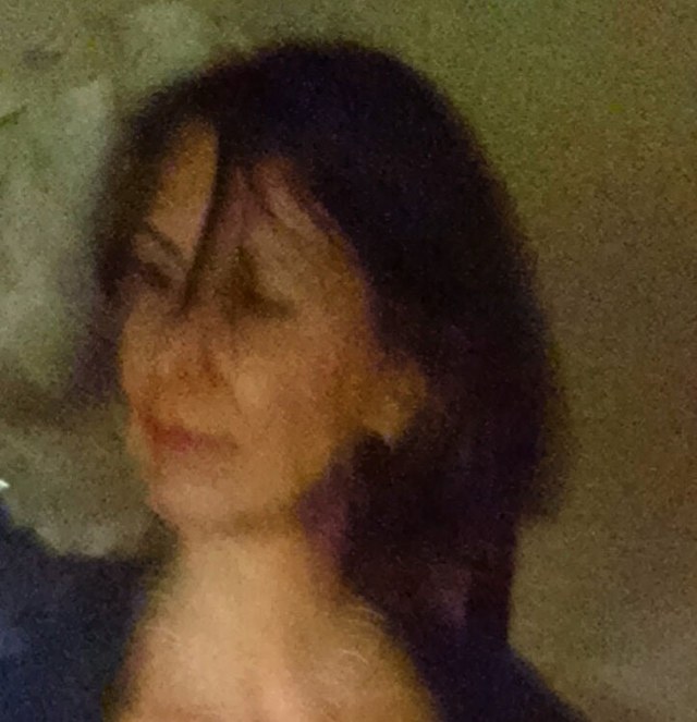 Picture from the Wikipedia article on Janet Biggs
