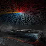 Malavika M Andrew & Ryan Henderson. Malavika x Ryan - Blue Horizon. Nature's Delight, 2021. 30 x 20 x 1 inches.