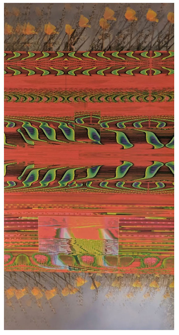 LoVid, Pop Fly, 2019, Archival inkjet on handmade bamboo paper, 56 x 30.5 in (framed), Edition 2/3