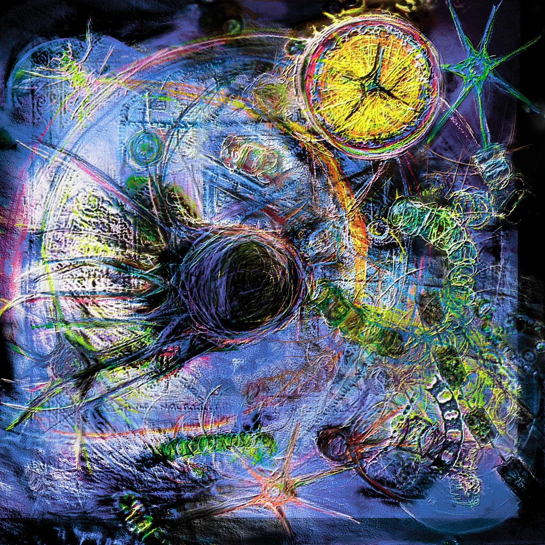 Cynthia Beth Rubin, Plankton Universe, 2021-2022. Mixed Media on Paper, 22 x 22 image, 28.5 x 28.5 frame, State 4a