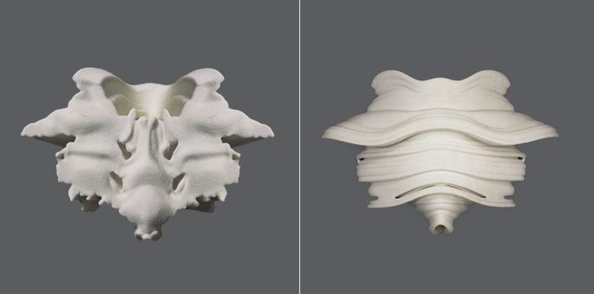 Suzanne Anker, Rorschach series (Wolf), 2004-05. Rapid Prototype Sculpture. Plaster and resin, Edition of 3. 11” x 8” x 3”. $3,000. Also available in 4.5” x 5” x 1”. Plaster and resin; ivory white or painted black, Edition of 6. $500.
