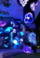 Columns and walls are illuminated with vibrant, glowing blue and purple floral projections at night, creating a vivid and artistic light display in an outdoor setting.