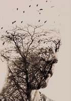 Double exposure image showing a silhouette of a person’s head filled with leafless tree branches and birds flying above, creating a blend of nature and human form on a light background.