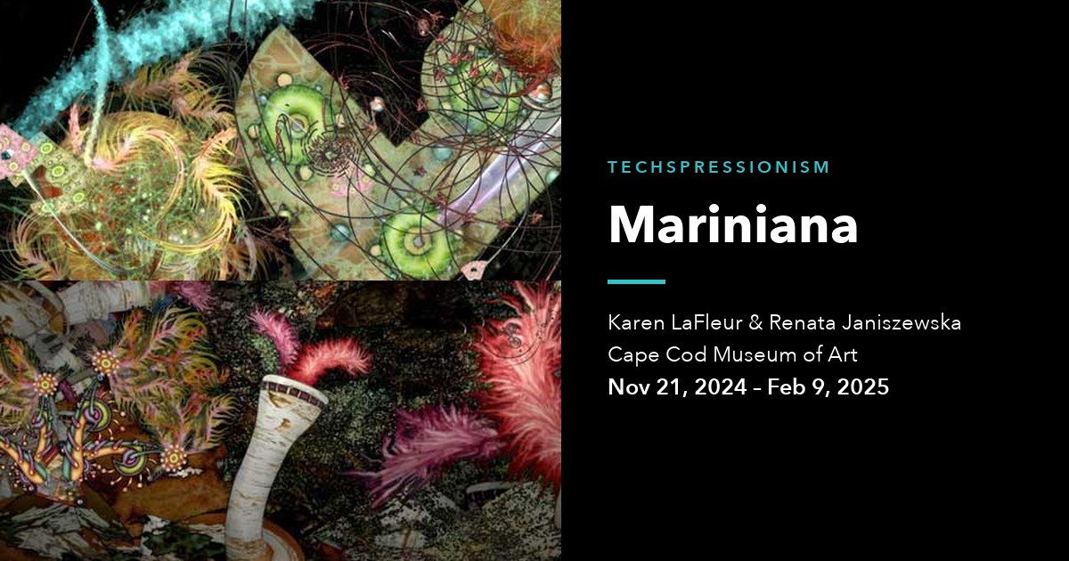 Mariniana, moving image works by Karen LaFleur and Renata Janiszewska at the Cape Cod Museum of Art, November 21, 2024 to February 9, 2025